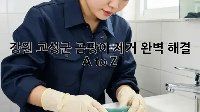 강원 고성군 곰팡이 제거, 완벽 해결 A to Z 💯