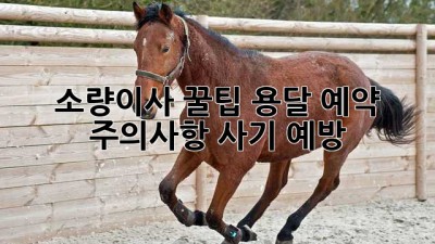 소량이사 꿀팁🍯 용달 예약 주의사항🚨 사기 예방!